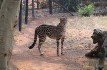 Ann Van Dyk Cheetah Centre an exciting conservation project!