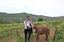 Albanian Highlights - UNESCO sites ,Nature and Food tour 