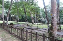 Jodensavanna Cultural Tour with Lunch on Overbridge