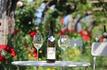 Guided tour of Bodegas Granbazán