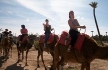 Camel ride in Marrakech Palm Grove