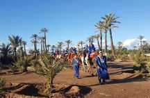 Camel ride in Marrakech Palm Grove
