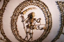 Rome: Capuchin Crypts Semi Private Tour