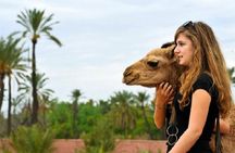 Desert Agafay and Atlas Mountains & Camel ride Day Trip From Marrakech