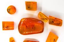 Best of Klaipeda & Curonian Spit Join-in Shore Excursion