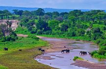 Day Trip Safari to Tarangire National Park