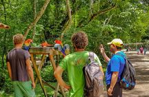 From San Pedro Sula: Mayan Ruins of Copan Day Trip