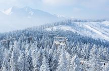 Treetop Walk in Slovakia and Thermal Baths from Krakow