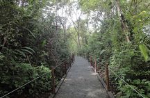 Carara National Park and Crocodile River Cruise