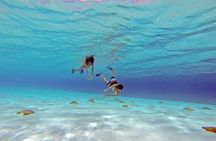 Explore El Cielo in Cozumel. Snorkel in 3 different reefs & visit Cielito Beach.