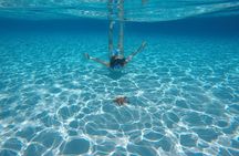 Snorkeling adventure through 'El Cielo' Cozumel. Included Food & Transportation