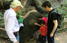 Private Muir Woods and Sausalito Half Day Tour