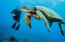 Two Tank Lanai Certified Diving Adventure from Lahaina