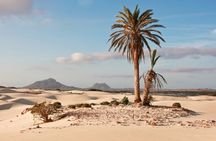 Private Tour of Ervatao and North with Boa Vista and Cape Verde