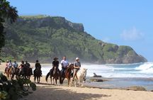 Horseback Riding through Secluded Beaches and Tropical Forests
