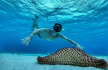 El Cielo Cozumel, a paradisiacal tour. Be amazed by the stars near to you.
