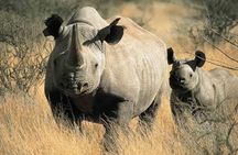 3 Days Mid-range Safari - Lake Manyara ,Tarangirie Park & Ngorongoro Crater