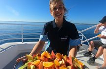 Hervey Bay Whale Watching Experience