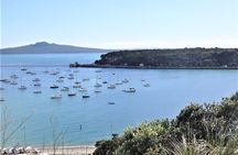 Half-Day: Small Group Auckland Scenic Tour - 4 HOURS
