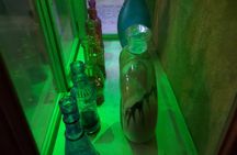 Merlin's Magic School Escape Room Game for Private Group