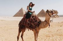 Private Camel or Horse Ride around the Giza Pyramids