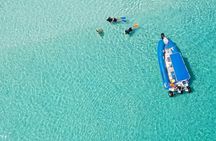 Remote K'gari (Fraser Island) & Whale Experience
