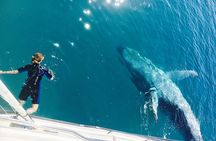 Remote K'gari (Fraser Island) & Whale Experience