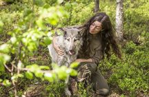 Meet Taivas & the Arctic Wolves - Private Tour