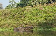 2 Nights 3 Days Chitwan Safari Tour from Kathmandu or Pokhara