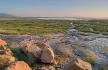 One Day Safari to Lake Manyara