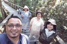 Full-Day Sepilok Orangutan and Sandakan City Trail from Kota Kinabalu