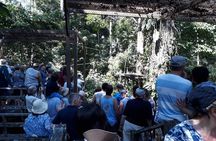 Full-Day Sepilok Orangutan,Sun Bear & Sandakan City Trail from Kota Kinabalu