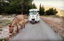E-Tuk Tuk Tour in Dubrovnik