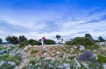 E-Tuk Tuk Tour in Dubrovnik