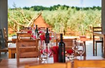 PERVINO - Wine tasting