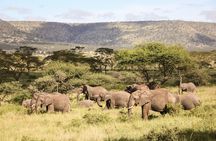 1 days Tanzania Sharing Joining group Safari - Ngorongoro Crater