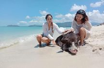 Koh Madsum and Koh Tan Snorkeling Trip By Speedboat From Koh Samui