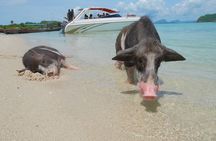 Snorkeling & Kayaking Trip at Koh Madsum and Koh Tan By Speedboat From Koh Samui