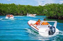 Speed boat aventure and snorkel