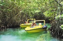 Speedboat and snorkel adventure 