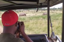 Nairobi National Park Half-Day Tour; Free Wi-Fi connection