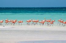 Magical adventure in Holbox. Discover the Passion island & Cenote Yalahau
