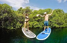 Cenote Paddleboarding and Snorkeling in Tulum