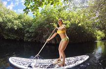 Cenote Paddleboarding and Snorkeling in Tulum
