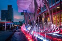 Private Houston Tour 3-hr Air-Conditioned City Tour, customizable
