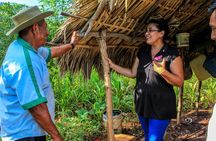 From the Milpa to Tourism: Farming, Cenote & Ek Balam Pyramids Tour