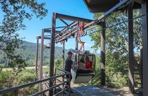 The Ultimate Wine Country Experience (Private & All-Inclusive)