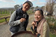 Swan Valley River Cruise and Wine Tasting Day Trip from Perth
