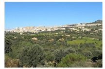 Private Full-Day Tour of Agrigento and Piazza Armerina