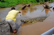 Jungle Crocodile Safari & Jaco Beach from San Jose
